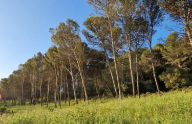 El Pitijopo - Foto 42