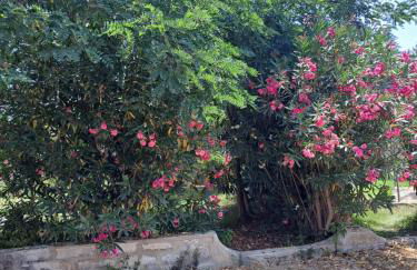 Case rotonde - Foto 14