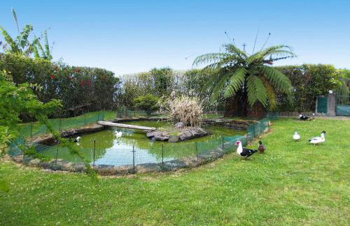 Bungalow São Miguel near Vila Franca Beach - Photo 9