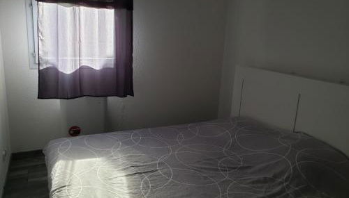 les lys magiques - Foto 3