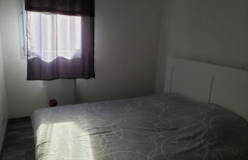 les lys magiques - Foto 3