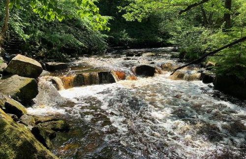 Eversfield - Foto 52