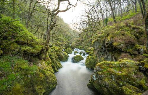 Charming Riverside Cottage in Snowdonia National Park - Foto 29