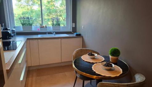 Appartement 115 m2 Garage Tram Lille St Maur - Foto 5