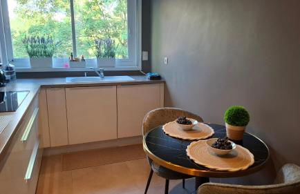 Appartement 115 m2 Garage Tram Lille St Maur - Foto 5