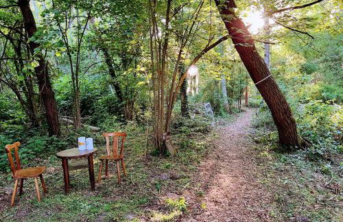 Ferienhaus Fuxbau - Foto 48