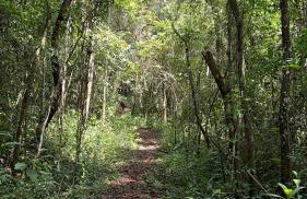 Refúgio em Macacos para até 12 hóspedes com piscina aquecida, 5 suítes e riacho - Foto 38