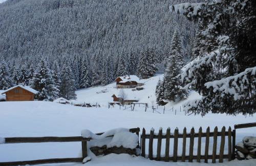 Maso Coler - Foto 49