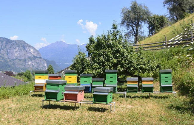 Agriturismo la Derta - Photo 25