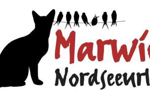 Das Koogsbauernhaus - Foto 20