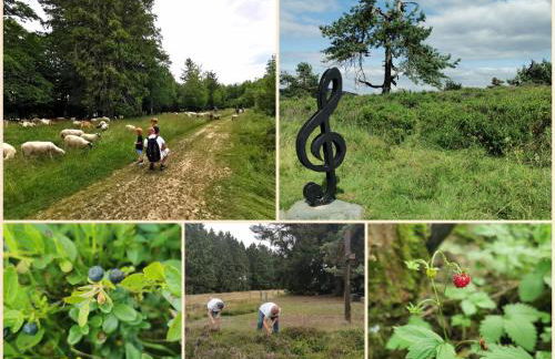 Fewo-BergSeeOase - Foto 28