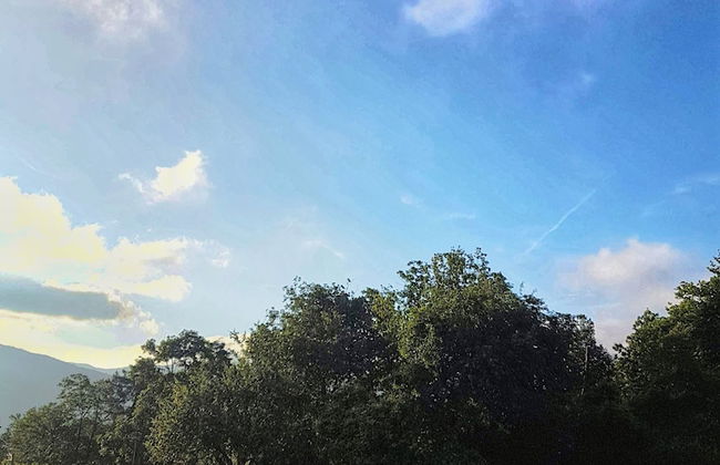 Azienda Agrituristica Lavagè - Foto 24