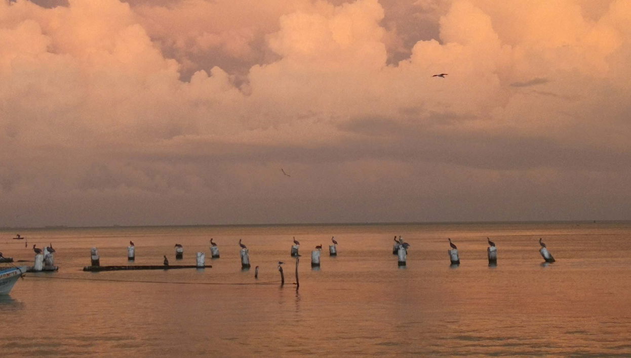 Paseo en lancha por la laguna de Términos