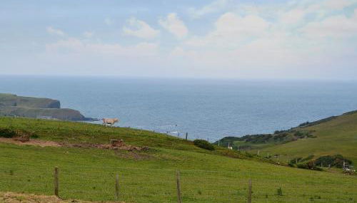 Mains Of Auchmedden Cottage - Foto 2