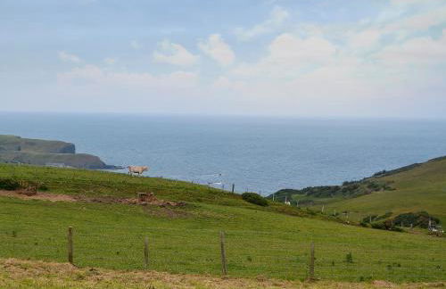 Mains Of Auchmedden Cottage - Foto 2