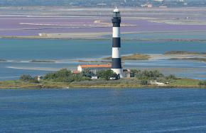 Camargue - La Saline Forézienne - Salin-de-Giraud - Foto 47