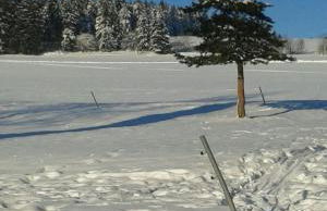 Ferienwohnung Dietlinde - Foto 26