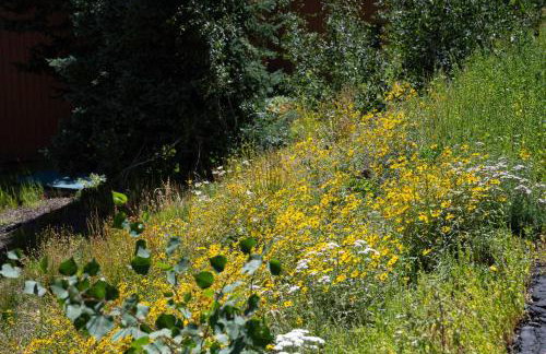 Brian Head Condo Steps to Giant Steps Ski Lodge - Foto 23