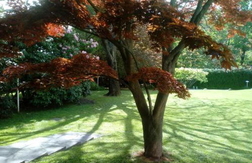 Villa Alice - Foto 41