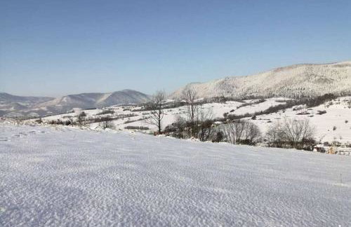 Nad Strumykiem - Photo 20