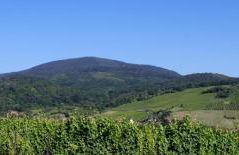 Alsace Panorama - Photo 41