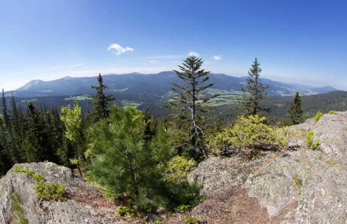 Ferienappartement mit Panoramablick - Foto 14