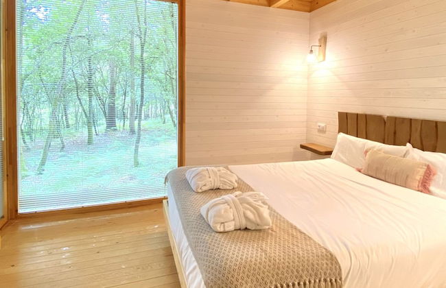 Enoturismo María Manuela - Photo 12