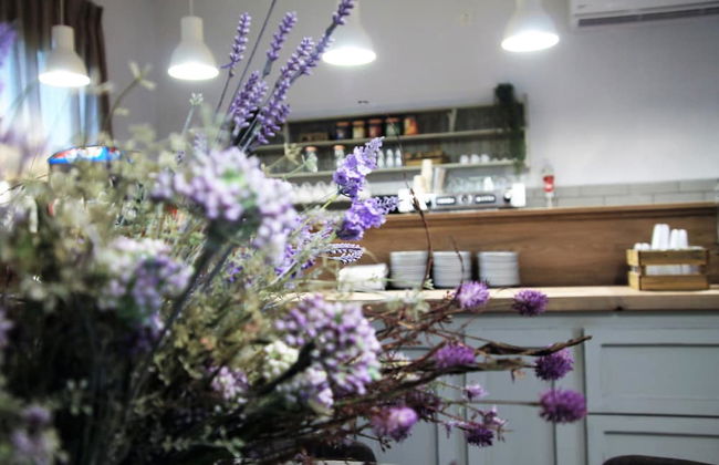 Nofey Habashan - Foto 61