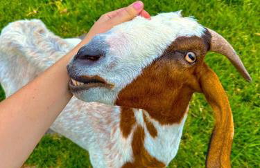 Hospedagem Zilz - Foto 38