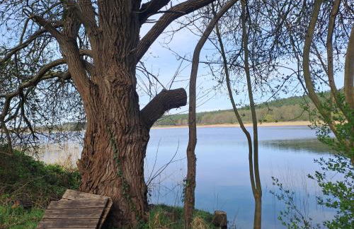 Haus Hecht - Foto 39