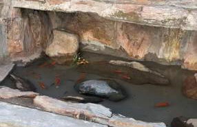 Moonlit Serenity - Foto 22