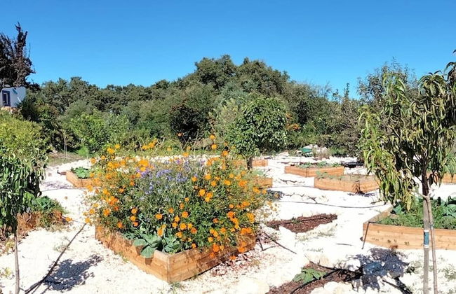 Quinta Nossa Senhora da Saúde - Foto 29