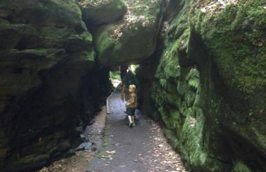 Zur Bastei - Foto 19