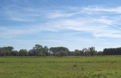 Zur alten Schmiede II (Haus I) - Foto 19