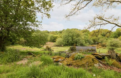 Llugwy Pod - Foto 25