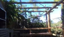 Tiny House II - Sítio dos Wolff - Foto 3