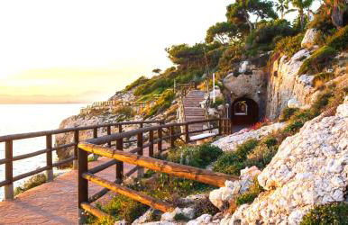 La Plumaria de Málaga - Photo 17