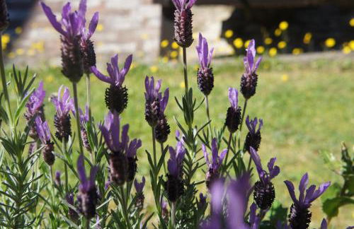 EcoResort Il Cantico della Natura - Photo 65