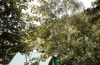 Świerkowe Zacisze Domki - Foto 35