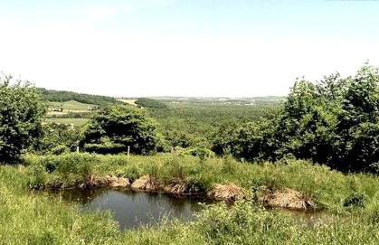 Modern Countryside Yurt Rental in Waterville, Upstate New York - Foto 16