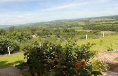 Sítio Santa Terezinha Canastra - Foto 4