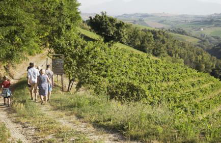 Relais Cocci Grifoni - Panoramic Wine Resort - Foto 32