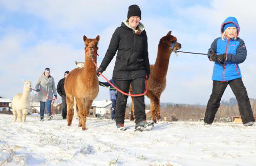 Schauerhof - Photo 15