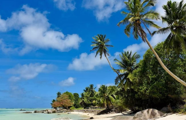 Chez Benoit Self Catering - Photo 36