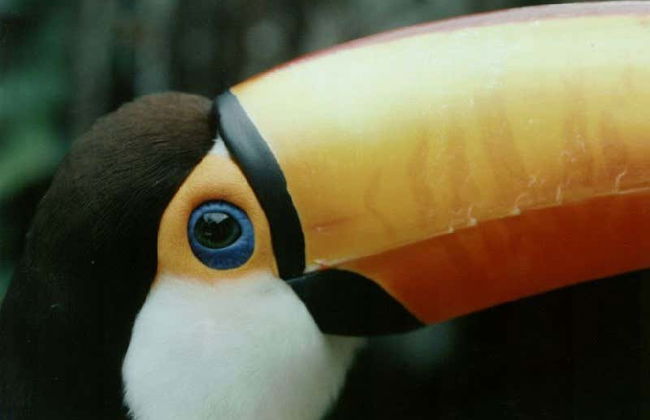 Tour de 6 días por la Reserva Nacional de Tariquía - Foto 4