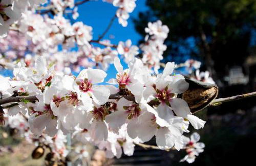 Espuna Walks Casa Los Arcos - Foto 10