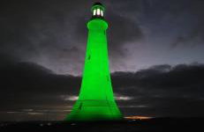 Hardy Hideaway - Foto 33