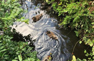 Kingfisher House - Sandwich - Foto 64