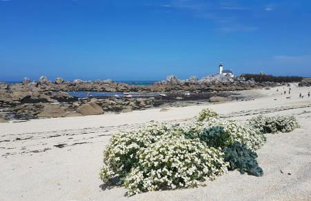 La légende Roc'h ar conq - Centre-ville Brignogan-Plages , 300 m des plages - Foto 18