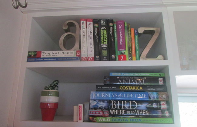 Portasol Living - Photo 56